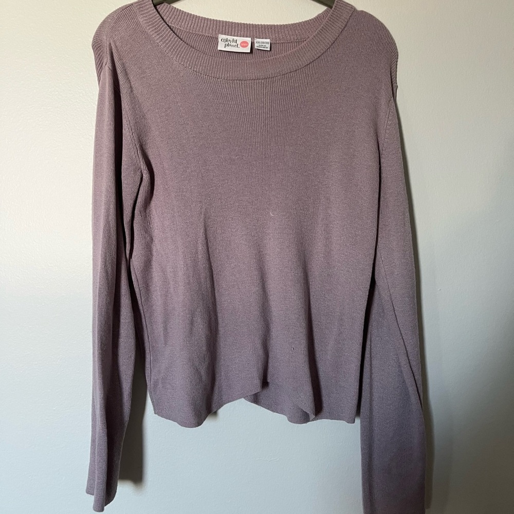 Colorful Planet Teen Cropped Crewneck Sweater in Dusty Mauve